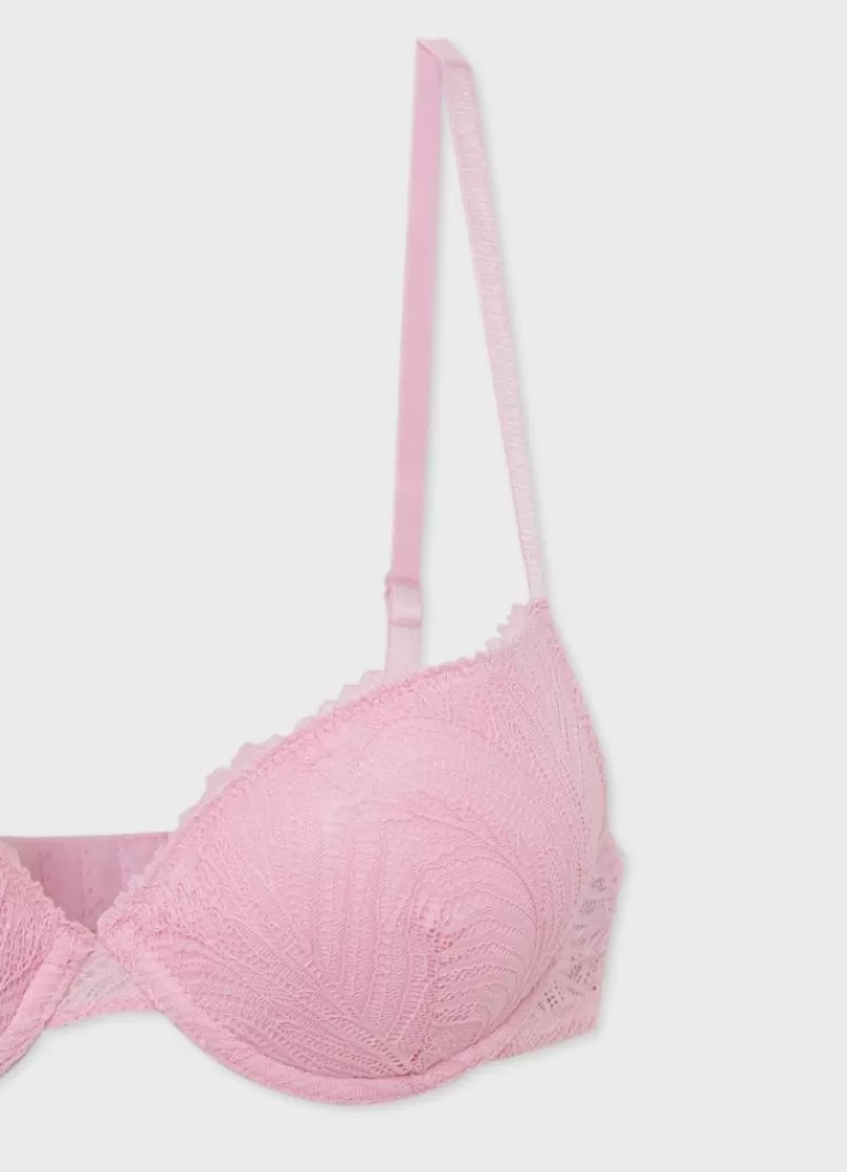 Women CALLIOPE Bras